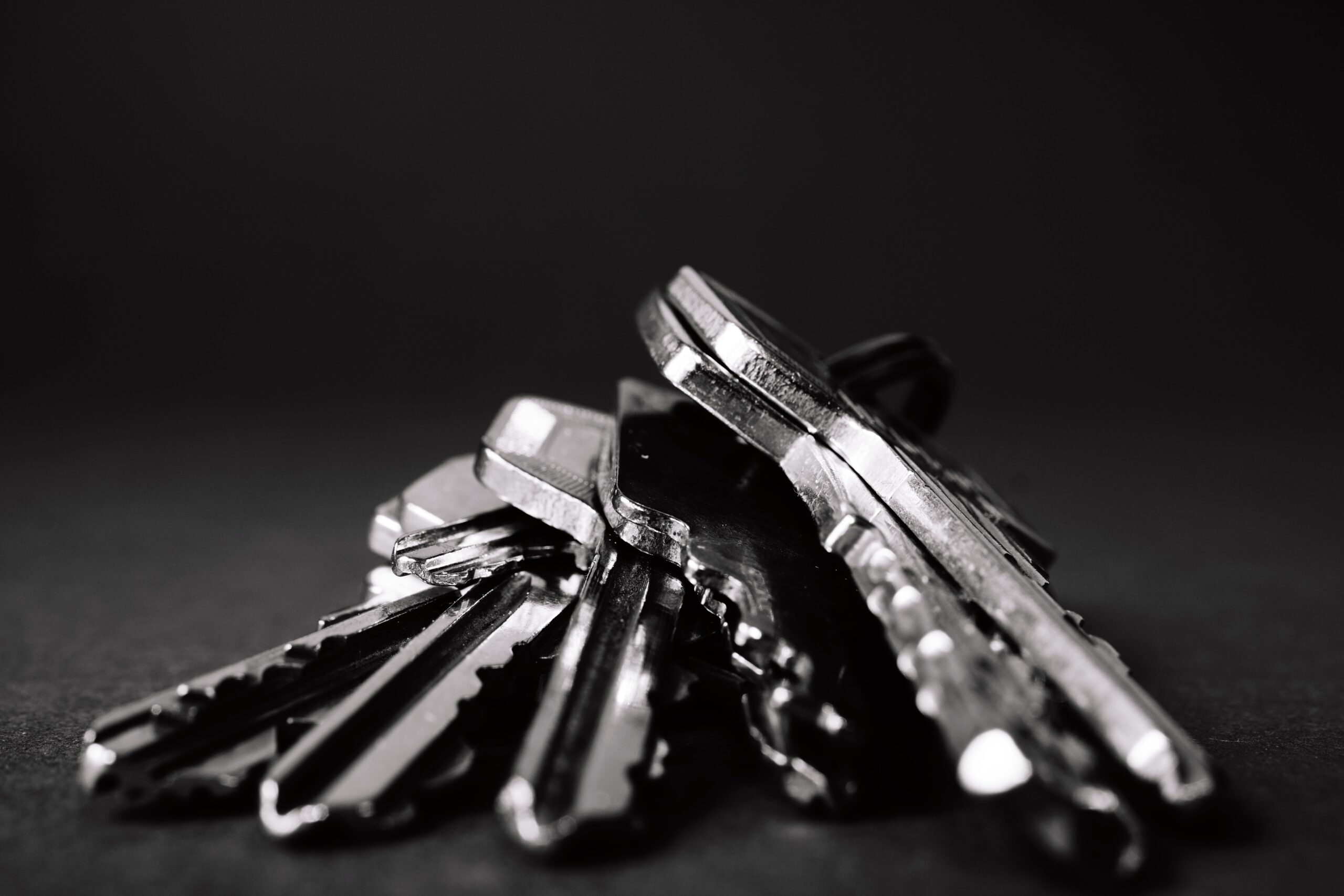 pexels-george-becker-333837 | Itergy Active Directory Recovery services. Ransomware recovery services. Active Directory. Active Directory migration and consolidation. Productivity tools. Microsoft 365. M365. Identity and Access Management. Cybersecurity.